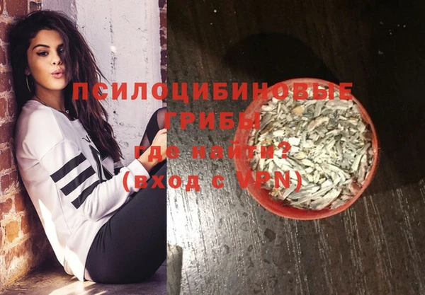 дживик Елабуга