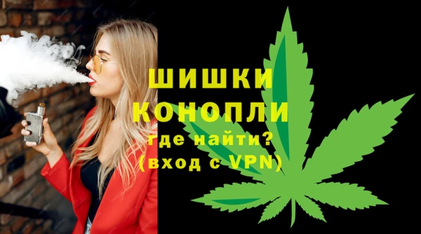 дмт Заводоуковск