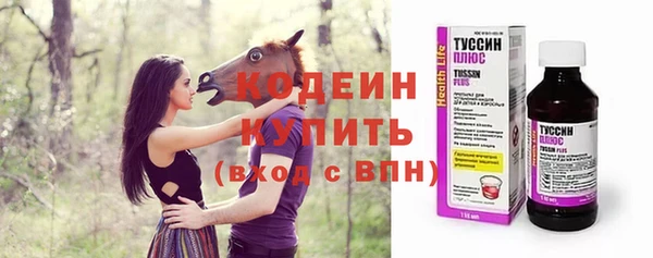 гашик Елизово
