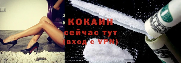 дживик Елабуга