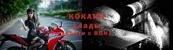 гашик Елизово