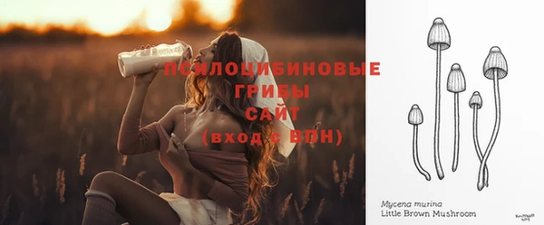 а пвп мука Заволжье