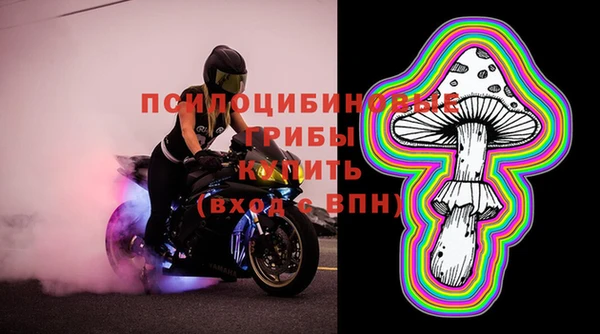 гашик Елизово