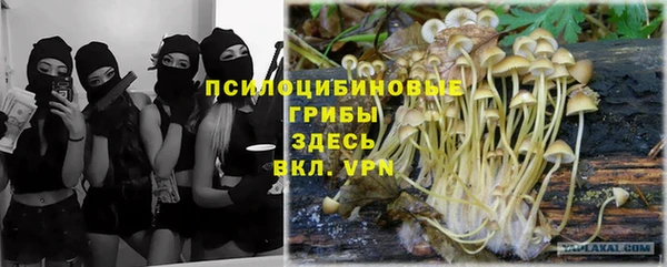 гашик Елизово