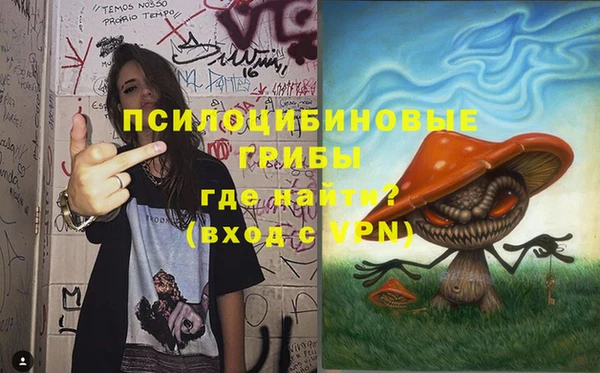 дживик Елабуга