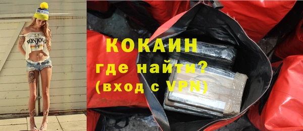 гашик Елизово